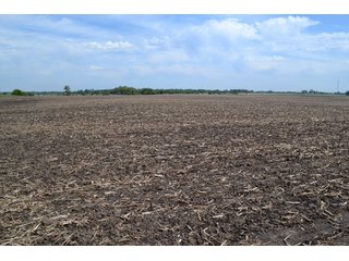 Property photo 19 - LAND AUCTION - 209.2+/- ACRES OFFERED IN 4 TRACTS IN NEWTON COUNTY, INDIANA