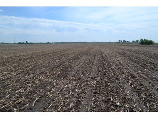 Property photo 14 - LAND AUCTION - 209.2+/- ACRES OFFERED IN 4 TRACTS IN NEWTON COUNTY, INDIANA