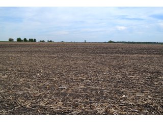 Property photo 15 - LAND AUCTION - 209.2+/- ACRES OFFERED IN 4 TRACTS IN NEWTON COUNTY, INDIANA