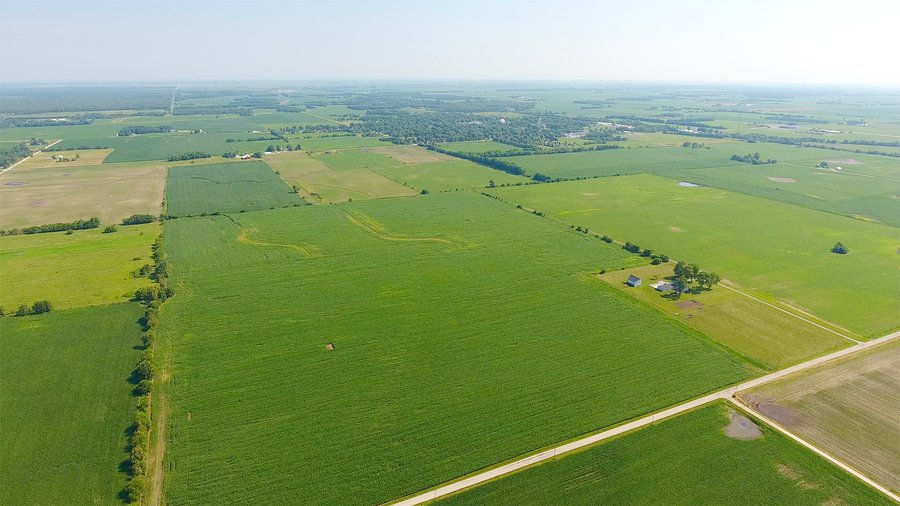 LAND AUCTION - 209.2+/- ACRES OFFERED IN 4 TRACTS IN NEWTON COUNTY, INDIANA