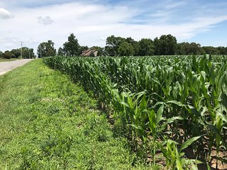 Property photo 29 - LAND AUCTION - 75.2+/- ACRES OFFERED IN 7 TRACTS IN ST. JOSEPH CO., INDIANA