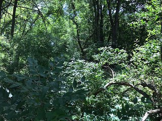 Property photo 27 - LAND AUCTION - 75.2+/- ACRES OFFERED IN 7 TRACTS IN ST. JOSEPH CO., INDIANA