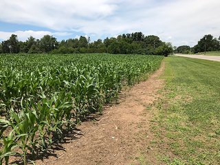 Property photo 28 - LAND AUCTION - 75.2+/- ACRES OFFERED IN 7 TRACTS IN ST. JOSEPH CO., INDIANA