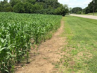 Property photo 20 - LAND AUCTION - 75.2+/- ACRES OFFERED IN 7 TRACTS IN ST. JOSEPH CO., INDIANA