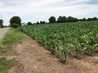 Property photo 38 - LAND AUCTION - 75.2+/- ACRES OFFERED IN 7 TRACTS IN ST. JOSEPH CO., INDIANA