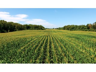 Property photo 1 - LAND AUCTION - 75.2+/- ACRES OFFERED IN 7 TRACTS IN ST. JOSEPH CO., INDIANA
