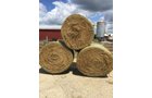 Property photo 131 - FARM EQUIPMENT AUCTION IN HILLSDALE COUNTY, MICHIGAN