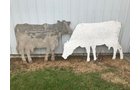 Property photo 96 - PERSONAL PROPERTY ANTIQUE & COLLECTIBLES AUCTION IN DEKALB CO., INDIANA