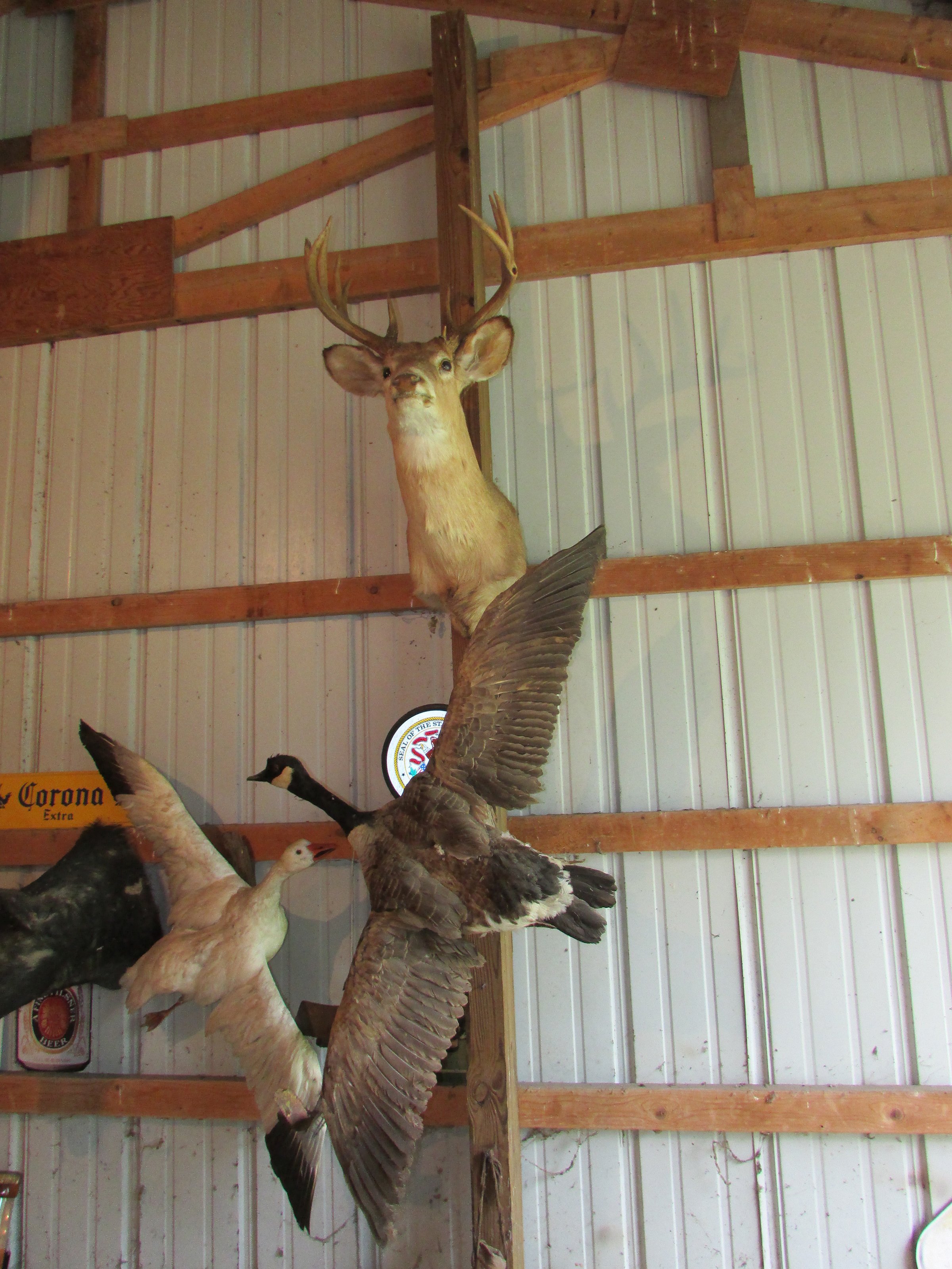 Property photo 550 - PERSONAL PROPERTY AUCTION IN MARSHALL COUNTY, INDIANA