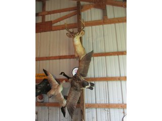 Property photo 550 - PERSONAL PROPERTY AUCTION IN MARSHALL COUNTY, INDIANA