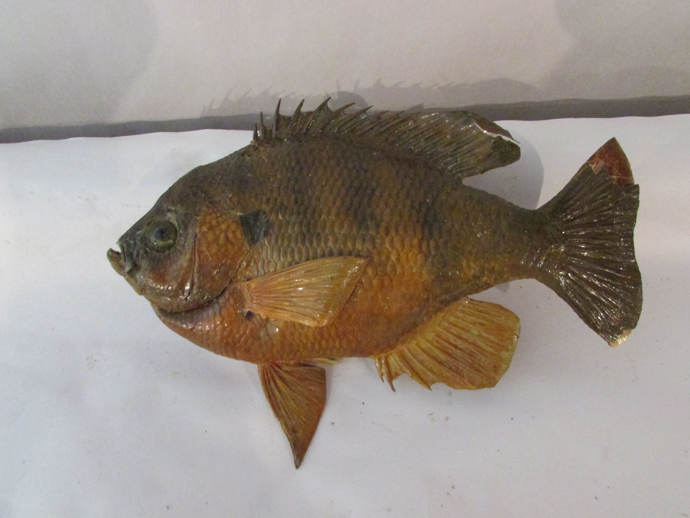 Property photo 540 - PERSONAL PROPERTY AUCTION IN MARSHALL COUNTY, INDIANA