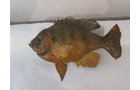 Property photo 540 - PERSONAL PROPERTY AUCTION IN MARSHALL COUNTY, INDIANA