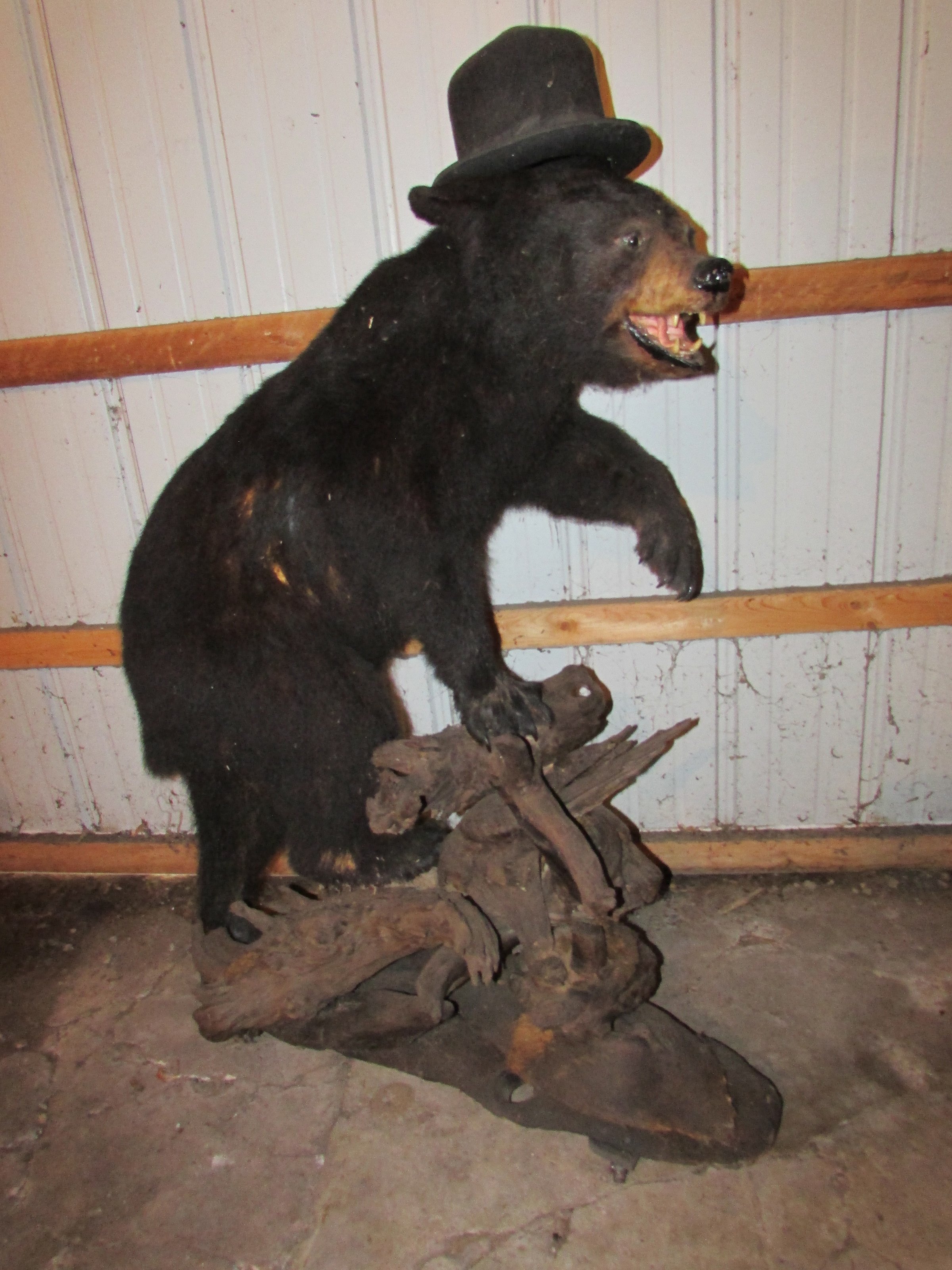 Property photo 529 - PERSONAL PROPERTY AUCTION IN MARSHALL COUNTY, INDIANA
