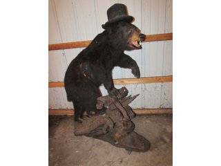 Property photo 529 - PERSONAL PROPERTY AUCTION IN MARSHALL COUNTY, INDIANA