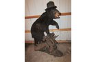 Property photo 529 - PERSONAL PROPERTY AUCTION IN MARSHALL COUNTY, INDIANA