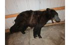 Property photo 531 - PERSONAL PROPERTY AUCTION IN MARSHALL COUNTY, INDIANA