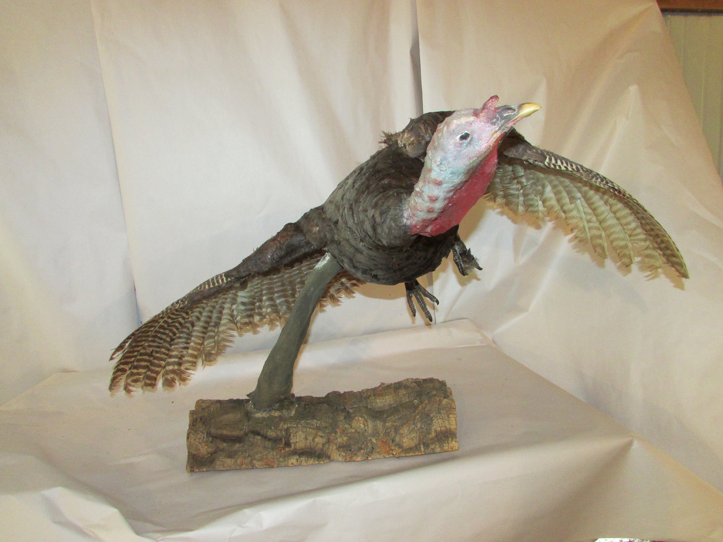 Property photo 532 - PERSONAL PROPERTY AUCTION IN MARSHALL COUNTY, INDIANA