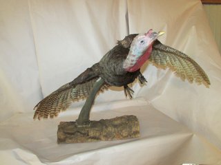 Property photo 532 - PERSONAL PROPERTY AUCTION IN MARSHALL COUNTY, INDIANA