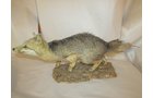 Property photo 533 - PERSONAL PROPERTY AUCTION IN MARSHALL COUNTY, INDIANA