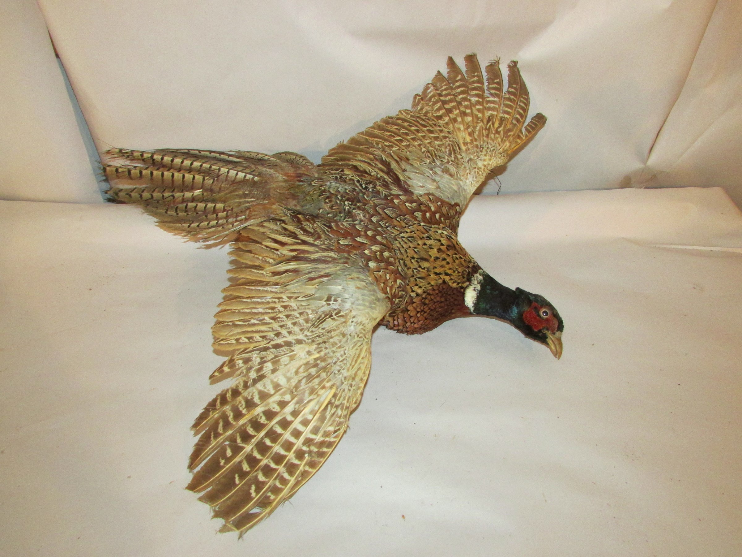 Property photo 537 - PERSONAL PROPERTY AUCTION IN MARSHALL COUNTY, INDIANA