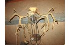 Property photo 556 - PERSONAL PROPERTY AUCTION IN MARSHALL COUNTY, INDIANA