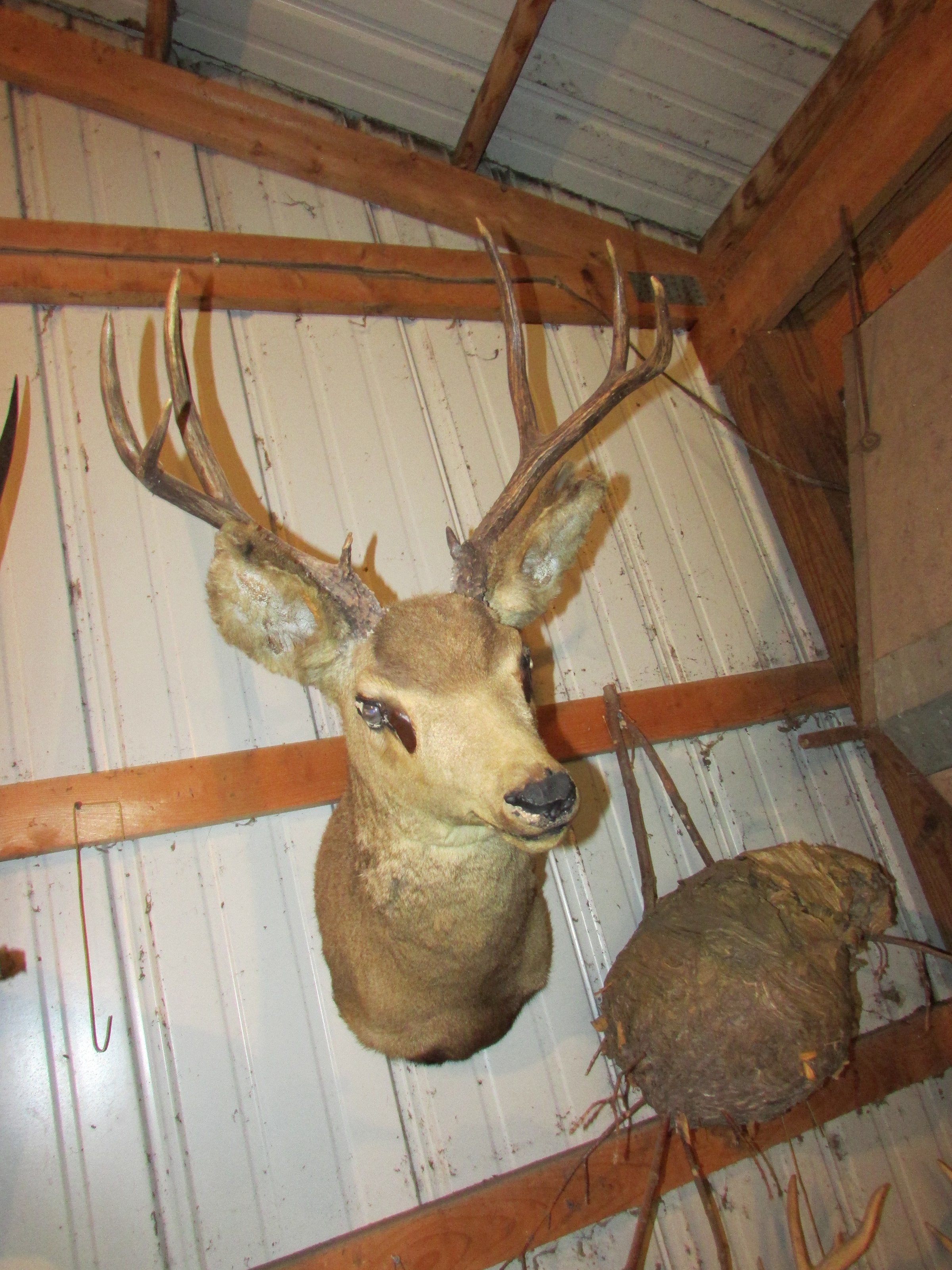Property photo 524 - PERSONAL PROPERTY AUCTION IN MARSHALL COUNTY, INDIANA