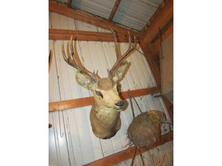 Property photo 524 - PERSONAL PROPERTY AUCTION IN MARSHALL COUNTY, INDIANA