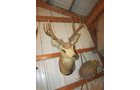 Property photo 524 - PERSONAL PROPERTY AUCTION IN MARSHALL COUNTY, INDIANA