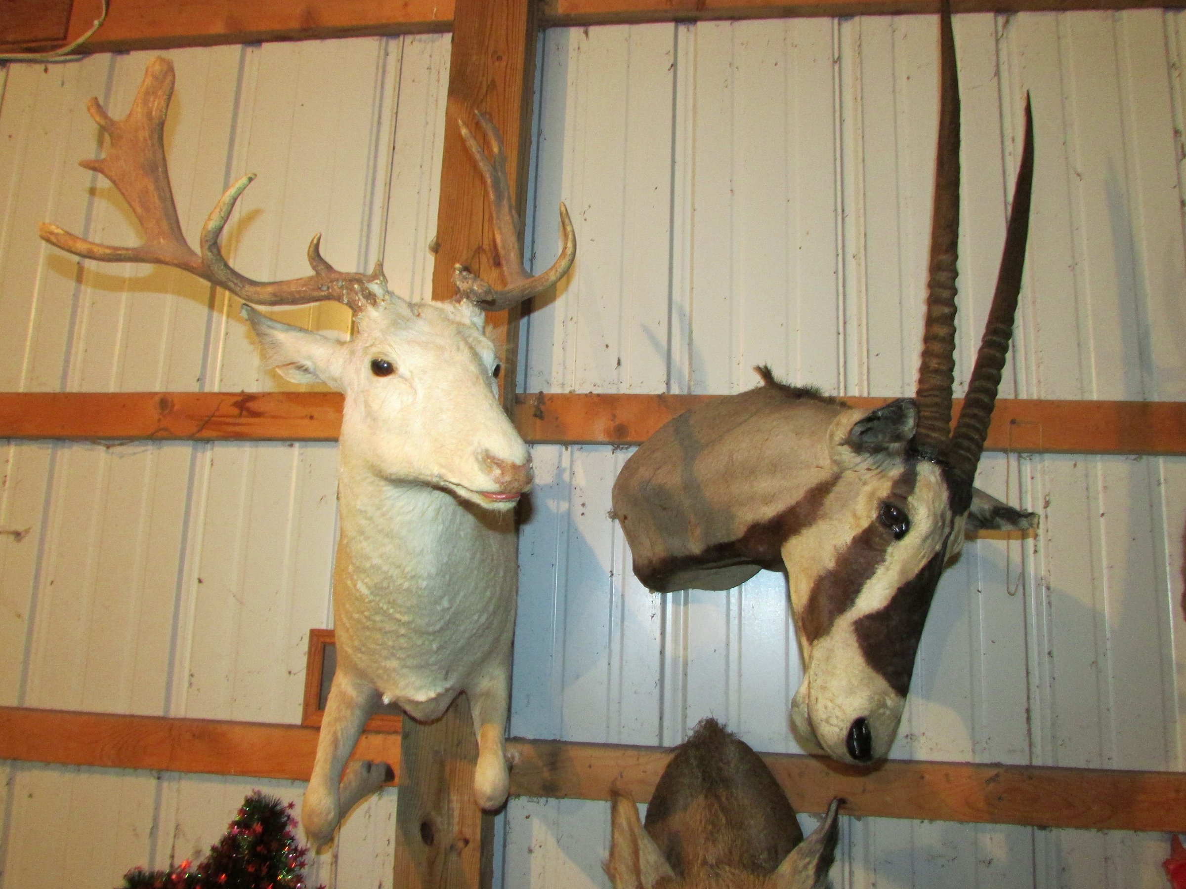 Property photo 525 - PERSONAL PROPERTY AUCTION IN MARSHALL COUNTY, INDIANA