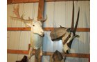 Property photo 525 - PERSONAL PROPERTY AUCTION IN MARSHALL COUNTY, INDIANA