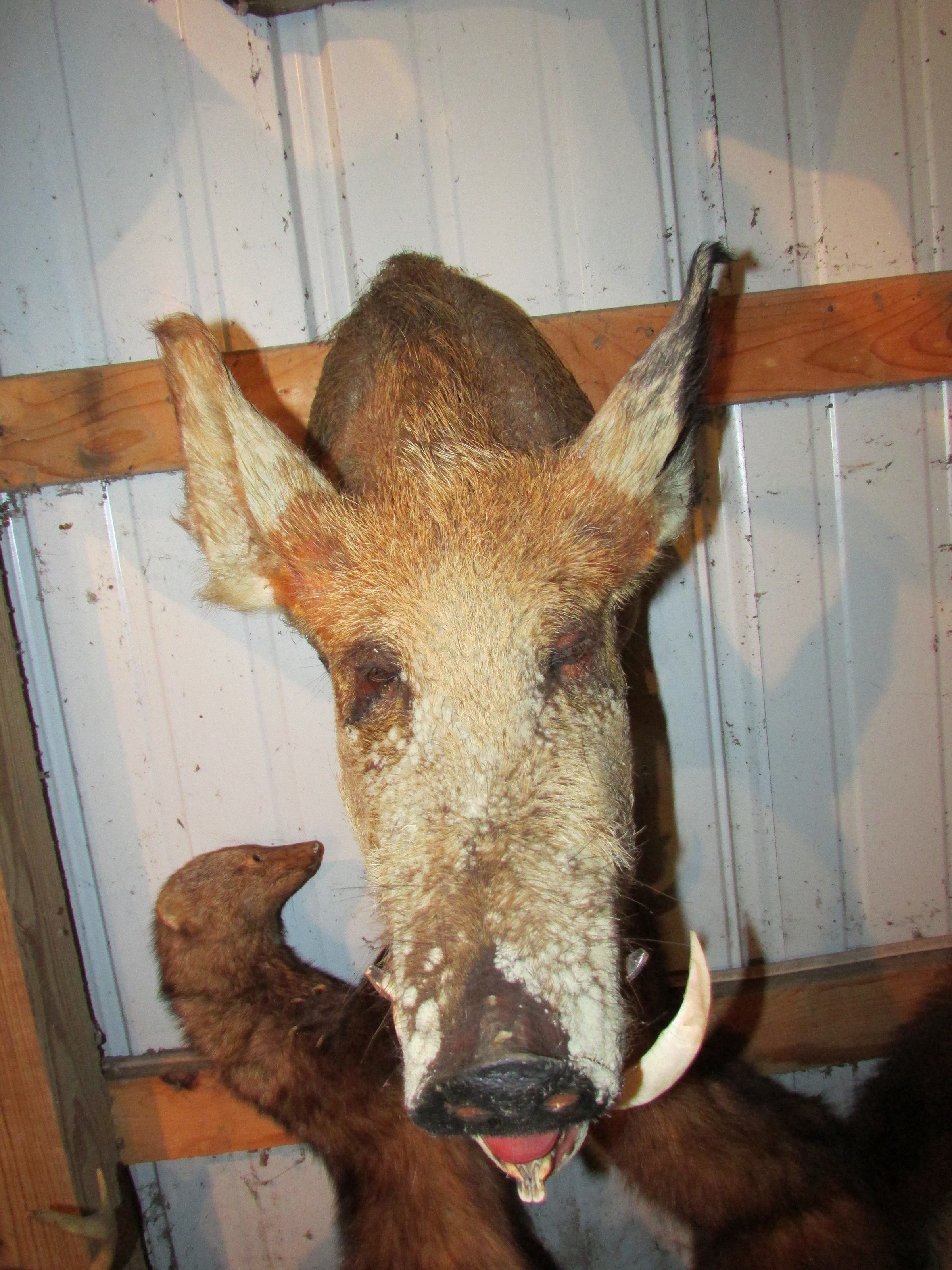 Property photo 526 - PERSONAL PROPERTY AUCTION IN MARSHALL COUNTY, INDIANA