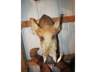 Property photo 526 - PERSONAL PROPERTY AUCTION IN MARSHALL COUNTY, INDIANA