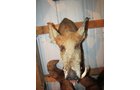 Property photo 526 - PERSONAL PROPERTY AUCTION IN MARSHALL COUNTY, INDIANA