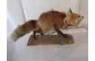 Property photo 527 - PERSONAL PROPERTY AUCTION IN MARSHALL COUNTY, INDIANA