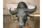 Property photo 515 - PERSONAL PROPERTY AUCTION IN MARSHALL COUNTY, INDIANA