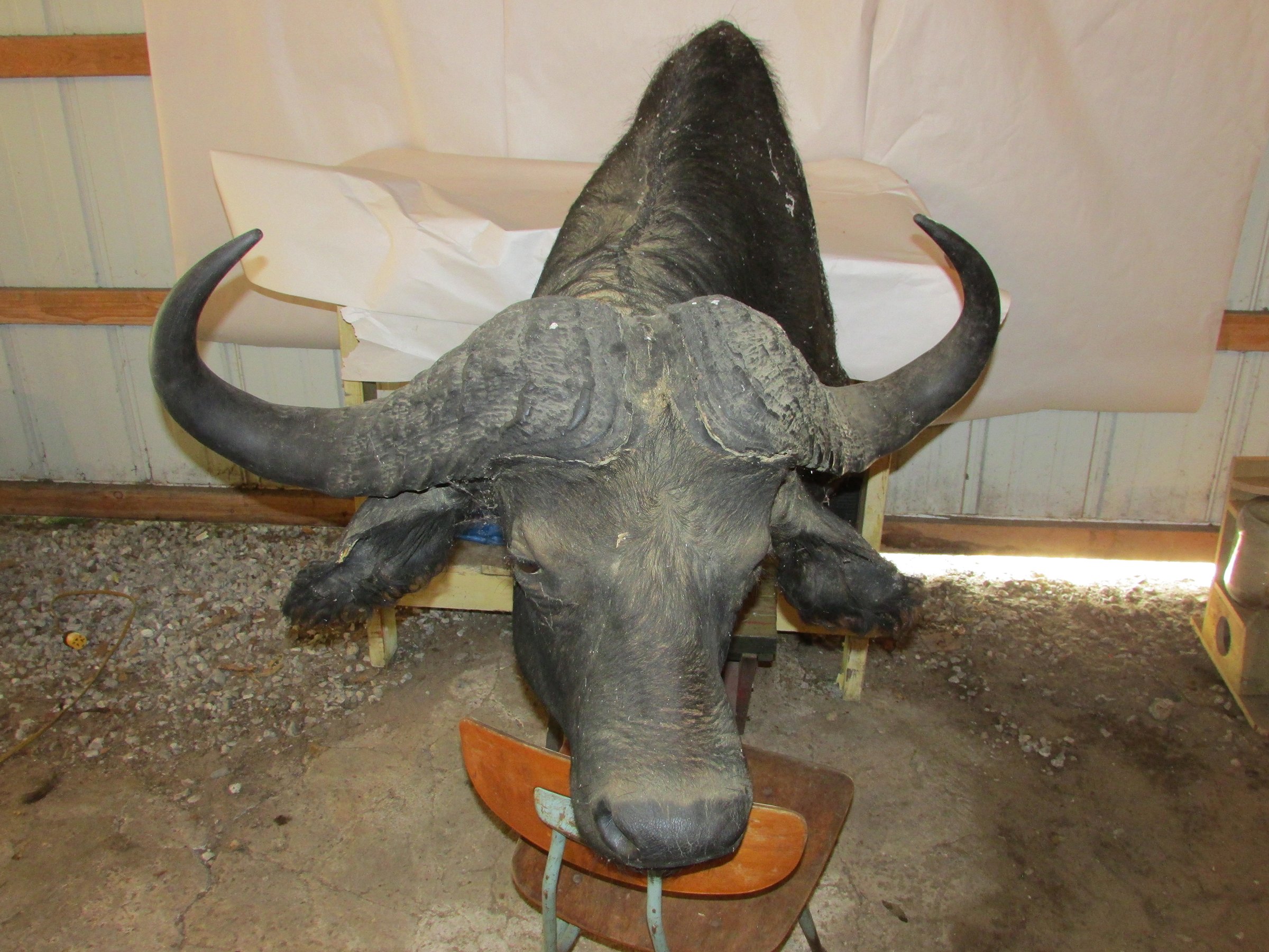 Property photo 517 - PERSONAL PROPERTY AUCTION IN MARSHALL COUNTY, INDIANA