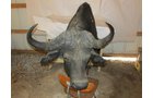 Property photo 517 - PERSONAL PROPERTY AUCTION IN MARSHALL COUNTY, INDIANA