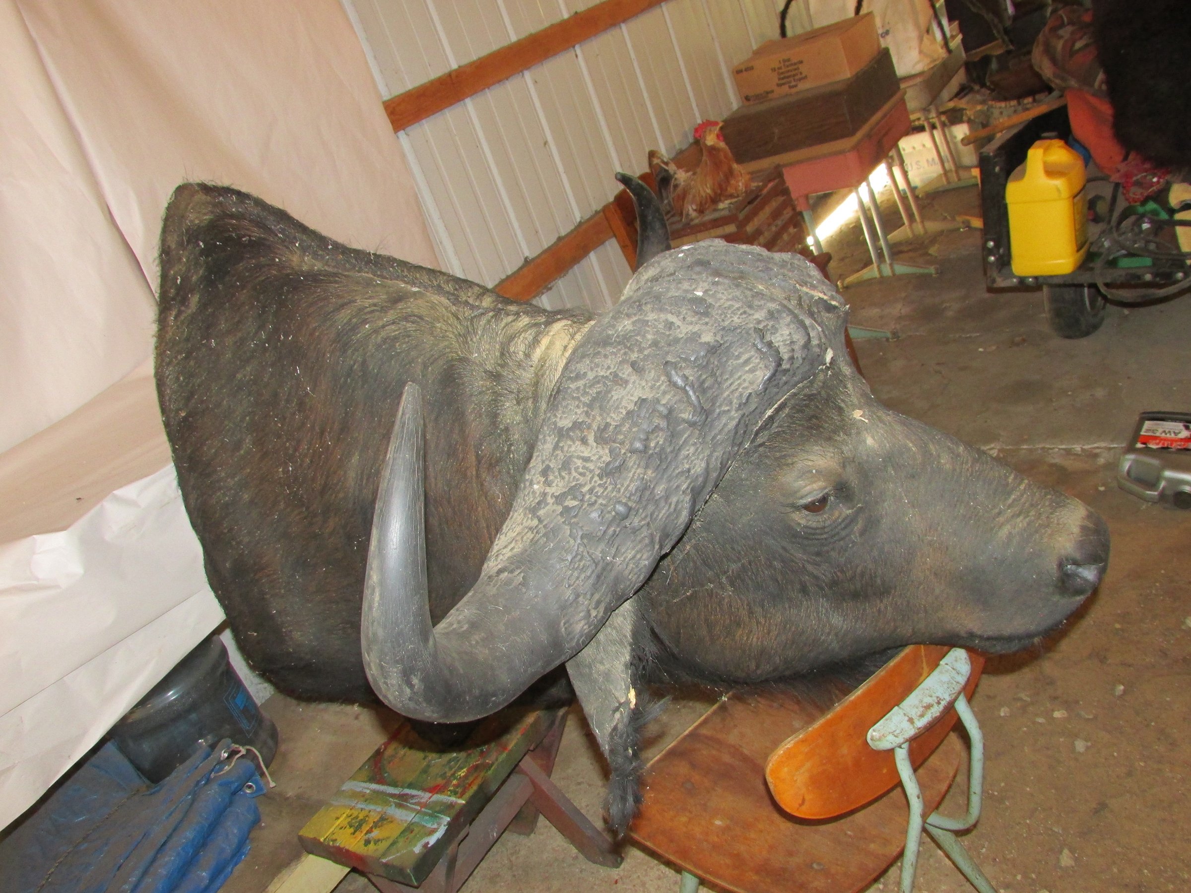 Property photo 519 - PERSONAL PROPERTY AUCTION IN MARSHALL COUNTY, INDIANA