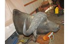Property photo 519 - PERSONAL PROPERTY AUCTION IN MARSHALL COUNTY, INDIANA