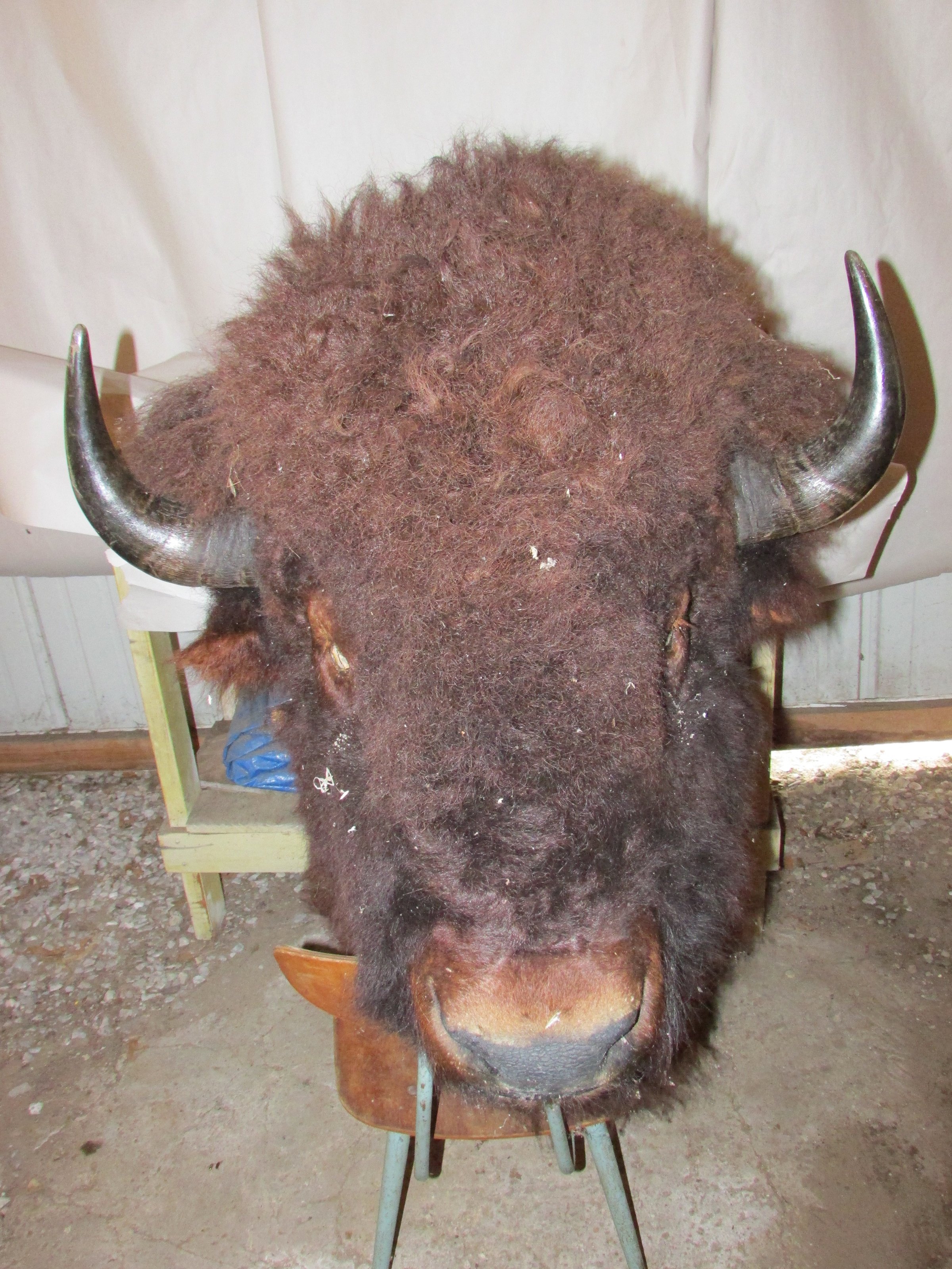 Property photo 520 - PERSONAL PROPERTY AUCTION IN MARSHALL COUNTY, INDIANA