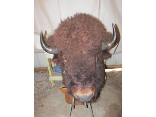 Property photo 520 - PERSONAL PROPERTY AUCTION IN MARSHALL COUNTY, INDIANA