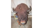 Property photo 520 - PERSONAL PROPERTY AUCTION IN MARSHALL COUNTY, INDIANA