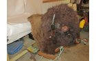 Property photo 521 - PERSONAL PROPERTY AUCTION IN MARSHALL COUNTY, INDIANA