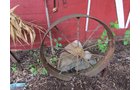 Property photo 579 - PERSONAL PROPERTY AUCTION IN MARSHALL COUNTY, INDIANA