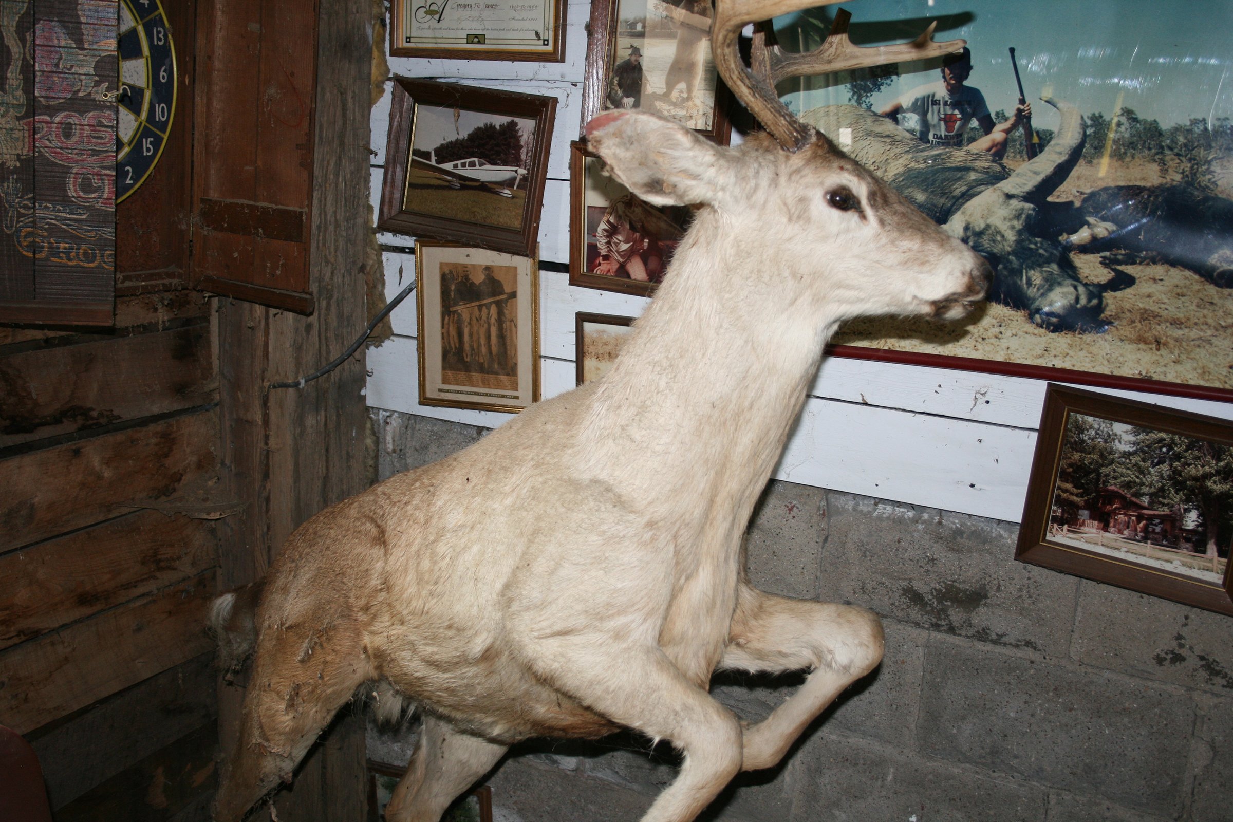 Property photo 543 - PERSONAL PROPERTY AUCTION IN MARSHALL COUNTY, INDIANA
