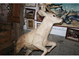 Property photo 543 - PERSONAL PROPERTY AUCTION IN MARSHALL COUNTY, INDIANA