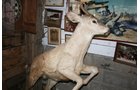 Property photo 543 - PERSONAL PROPERTY AUCTION IN MARSHALL COUNTY, INDIANA