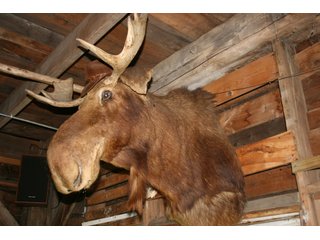 Property photo 542 - PERSONAL PROPERTY AUCTION IN MARSHALL COUNTY, INDIANA