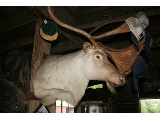 Property photo 544 - PERSONAL PROPERTY AUCTION IN MARSHALL COUNTY, INDIANA