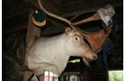 Property photo 544 - PERSONAL PROPERTY AUCTION IN MARSHALL COUNTY, INDIANA